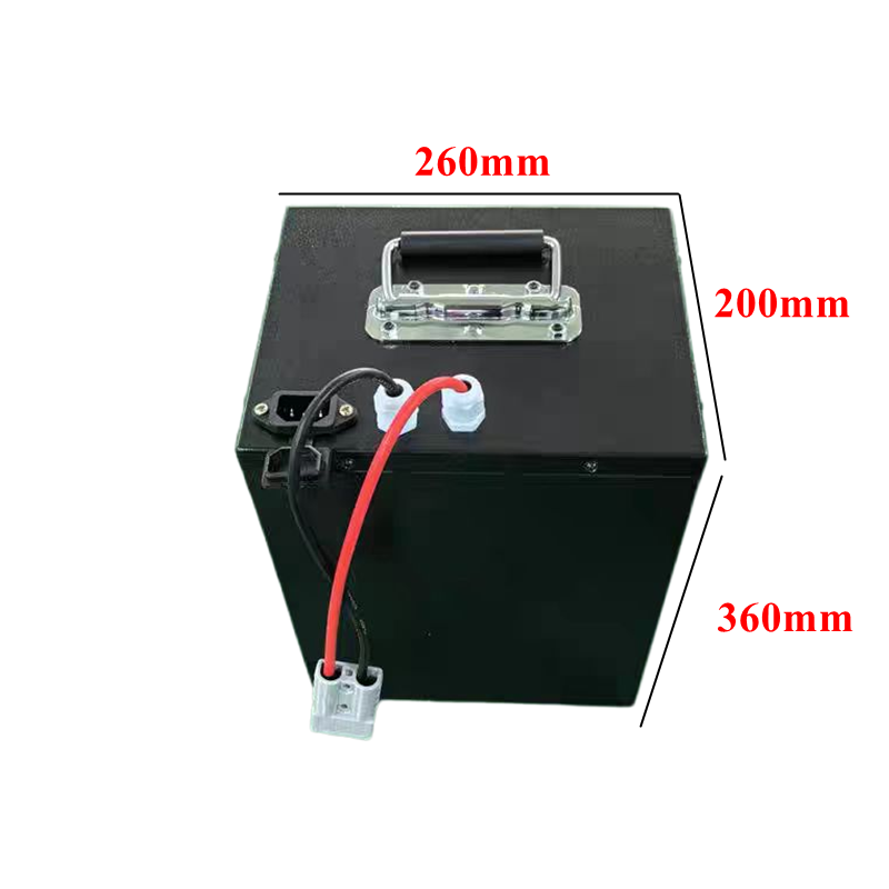 100Ah 60V 60Ah 80Ah 30Ah 60V 4 - 72V 30Ah Lifepo4 Battery Pack ulasan dan harga